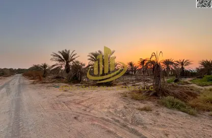 أرض - استوديو للبيع في الزاهية جاردنز - الزاهية - عجمان