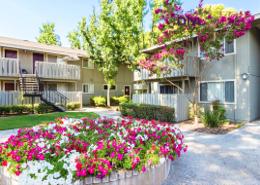 Garden image for: Townhouse - 3 bedrooms - 4 bathrooms for sale in Cherrywoods - Dubai Land - Dubai, Image 1
