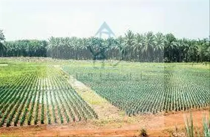 صورة لـ حديقة مزرعة - استوديو للبيع في الباهية - أبوظبي ، صورة رقم 1
