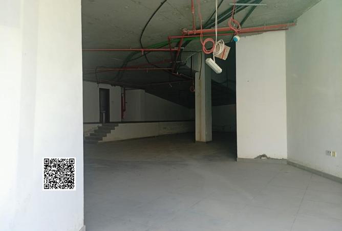 16055475 - Property Image 3