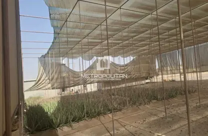 Land - Studio for rent in Mudfak - Ras Al Khaimah