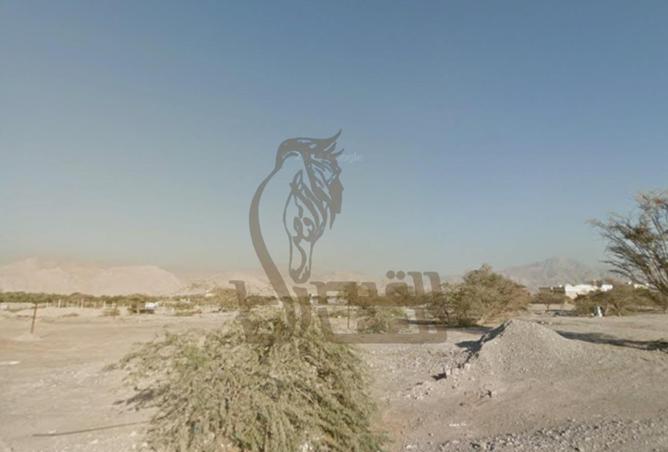 16082126 - صورة العقار 2