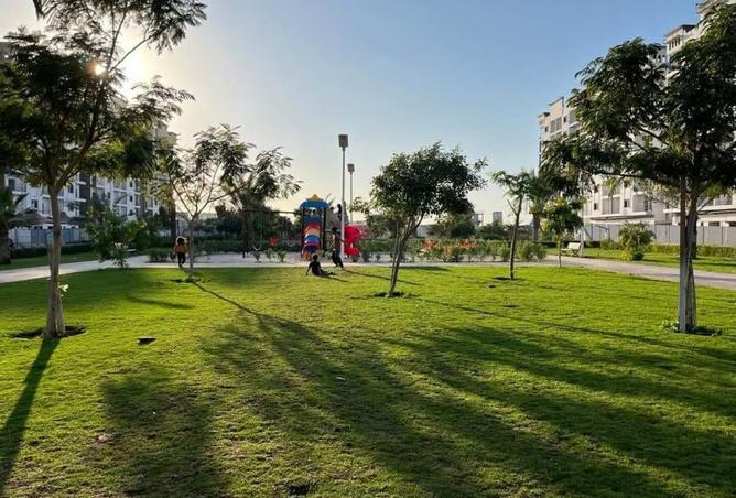 15981575 - Property Image 3