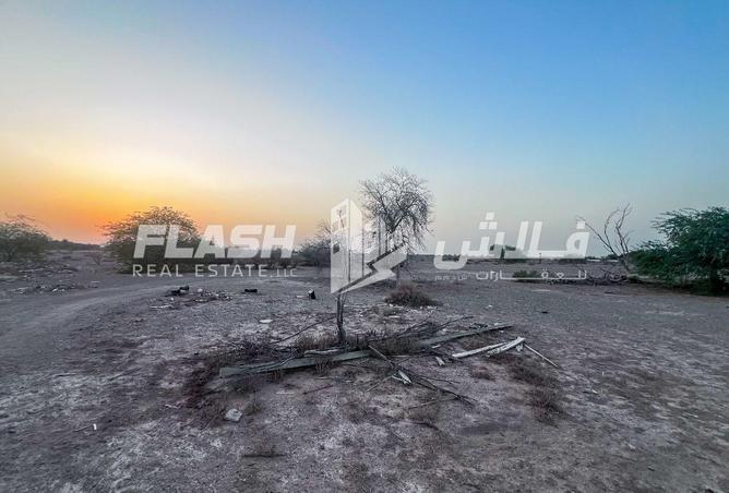 15524013 - Property Image 2