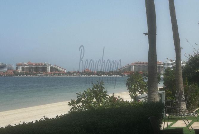 15515047 - صورة العقار 2