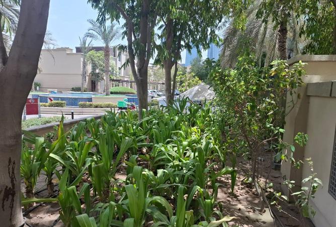 15192185 - صورة العقار 3