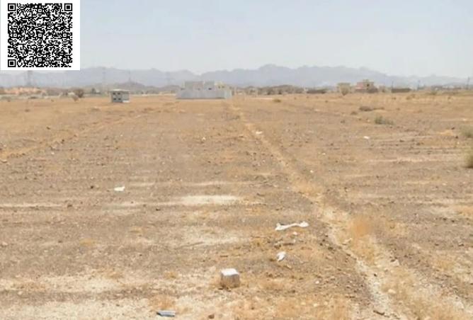 15493704 - Property Image 2