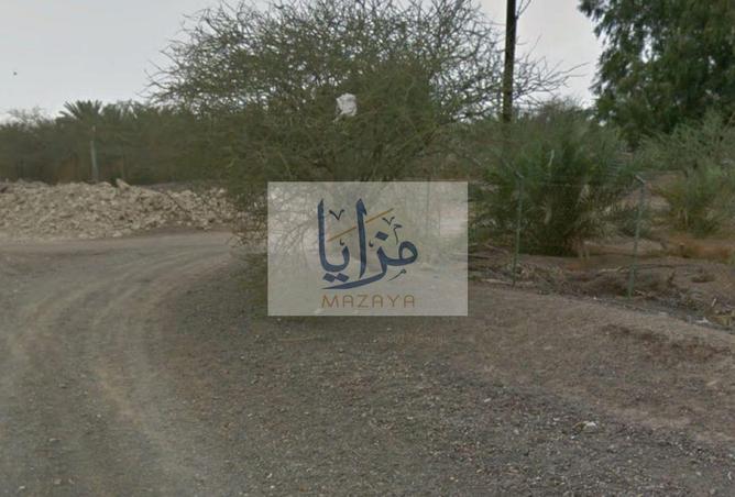 15781018 - صورة العقار 3