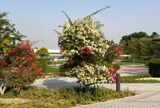 15737068 - Property Image 3