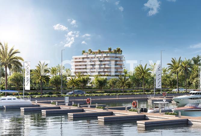 15531754 - صورة العقار 3