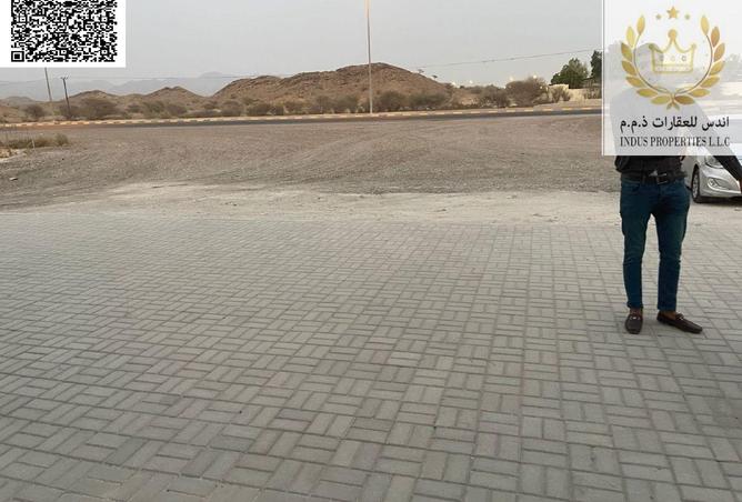 15415786 - Property Image 3