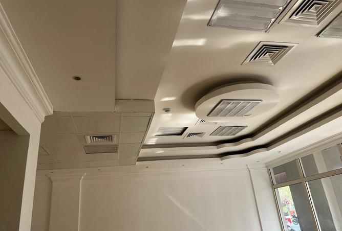 15695959 - صورة العقار 3