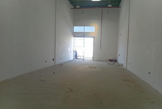 15768692 - صورة العقار 3