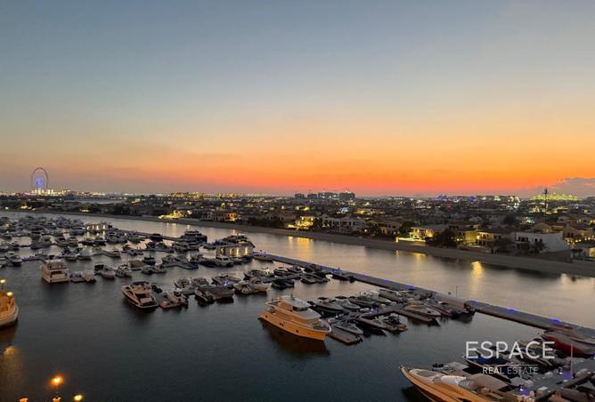 14796053 - صورة العقار 3