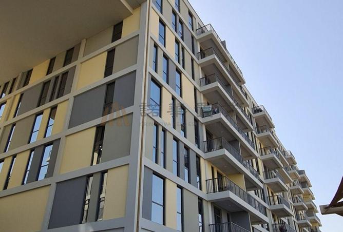 16046878 - Property Image 3