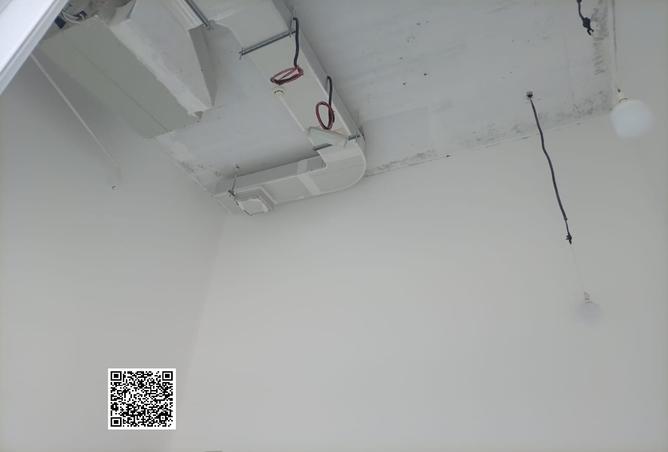 15258664 - Property Image 3