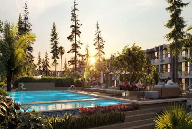 15746601 - Property Image 3