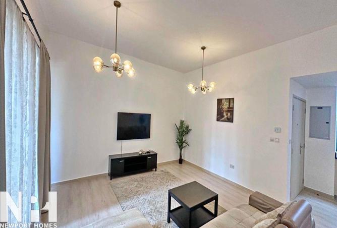 16025794 - Property Image 3