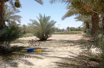 Farm - Studio for sale in Al Bahia - Abu Dhabi