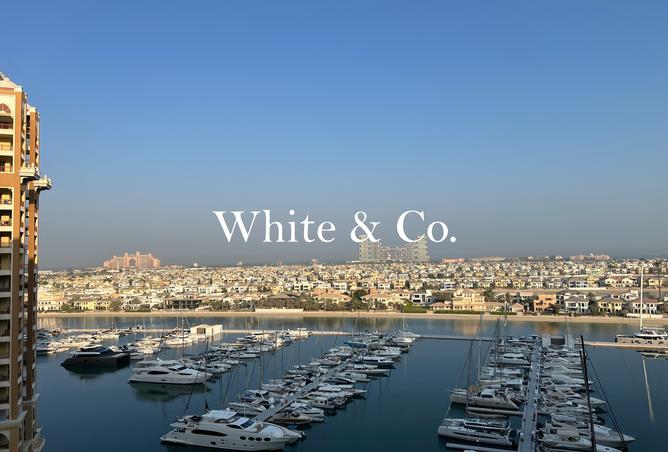 15542239 - الصورة الرئيسية للعقار