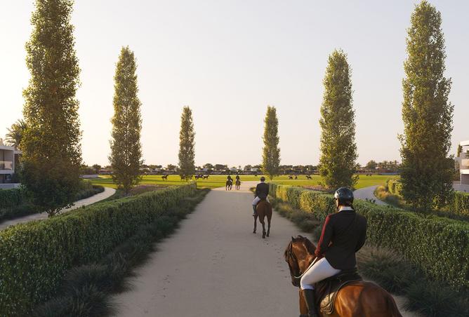 15569029 - Property Image 2