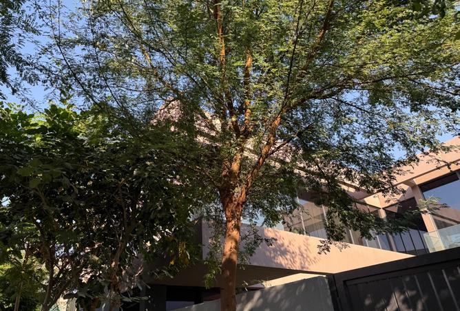 15390642 - الصورة الرئيسية للعقار