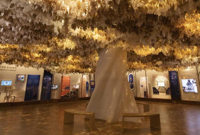 15947381 - Property Image 3