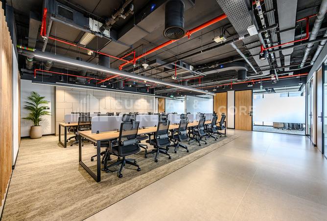 15598480 - Property Image 3