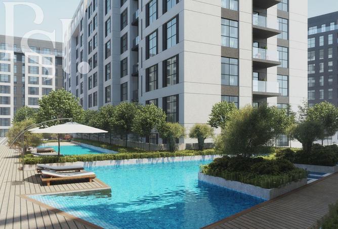 15558831 - Property Image 3