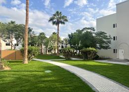 Apartment - 2 bedrooms - 2 bathrooms for rent in The Gardens Buildings - The Gardens - Dubai