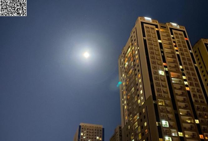 15451472 - صورة العقار 3