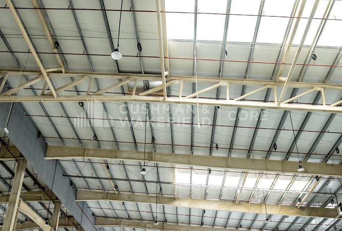 13617496 - Property Image 3