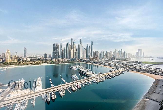 15304986 - Property Image 2