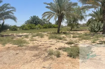 Farm - Studio for sale in Al Khatim - Abu Dhabi