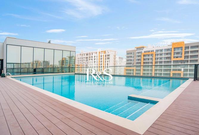 15813844 - Property Image 3