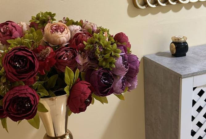 15745626 - صورة العقار 2