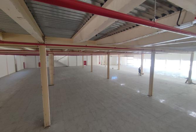 16065616 - صورة العقار 3