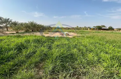 Garden image for: Farm - Studio for sale in Rimah - Abu Dhabi, Image 1