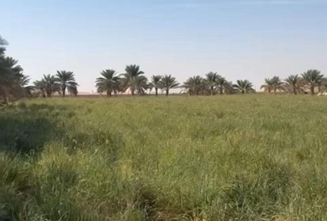 15807654 - صورة العقار 3