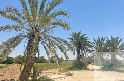 مزرعة - استوديو للبيع في كيزاد - السمحة - أبوظبي