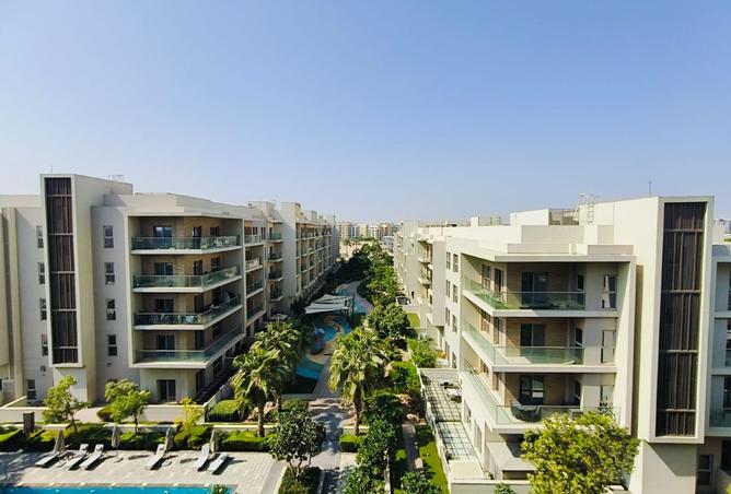 15982527 - صورة العقار 3