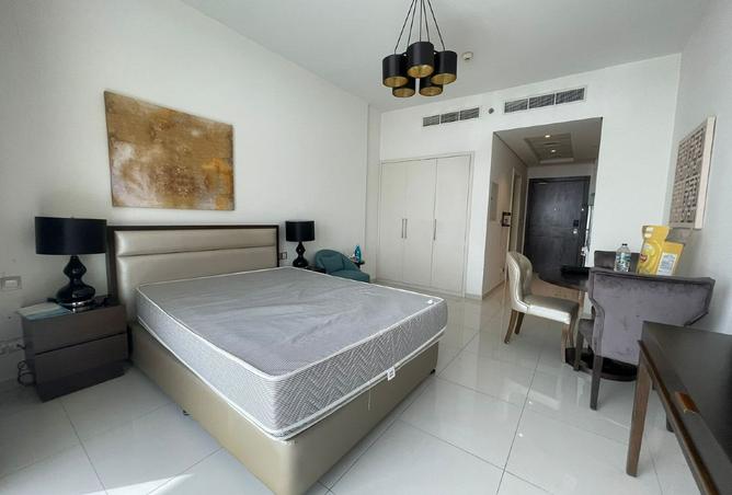 15559581 - Property Image 3