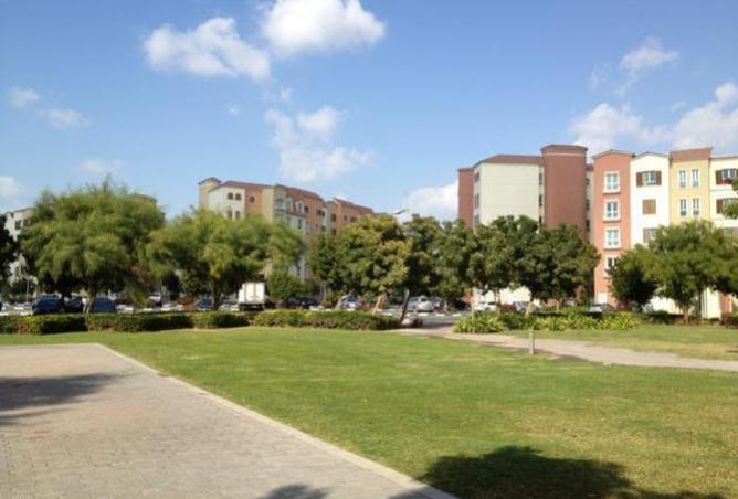 16002658 - صورة العقار 2