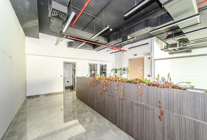 14209125 - Property Image 3