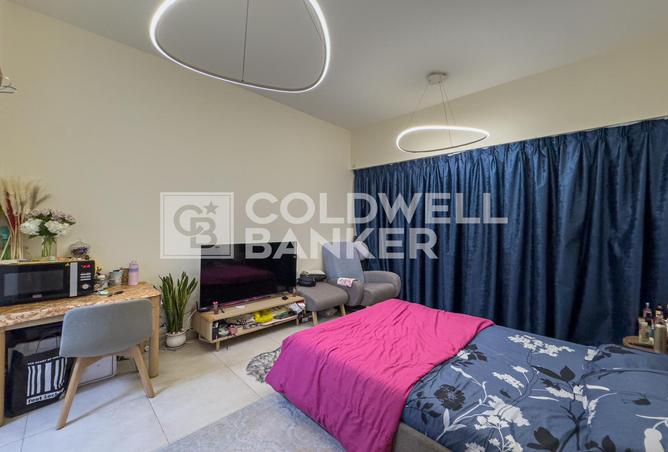 14644794 - Property Image 3