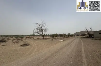 أرض - استوديو للبيع في المنامة - عجمان