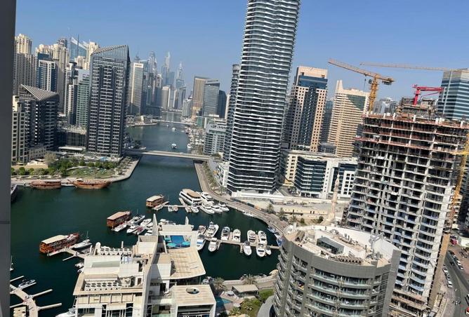 16101580 - صورة العقار 3