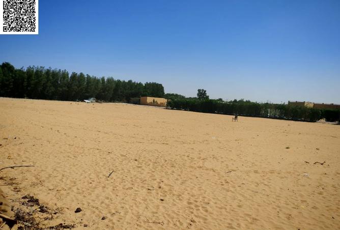 15367067 - Property Image 2