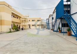 Labor Camp for rent in M-26 - Mussafah Industrial Area - Mussafah - Abu Dhabi
