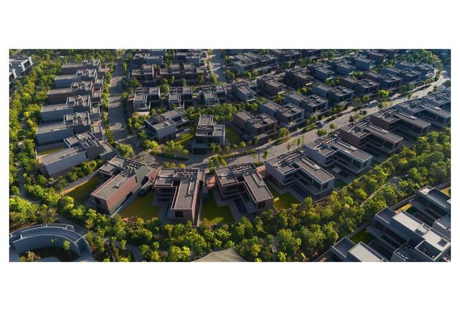 15161077 - Property Image 3
